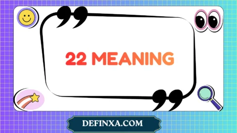 22 meaning