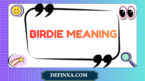 birdie meaning