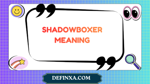 shadowboxer meaning