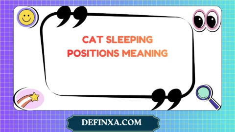 cat sleeping positions meaning