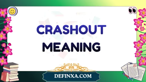 crashout meaning