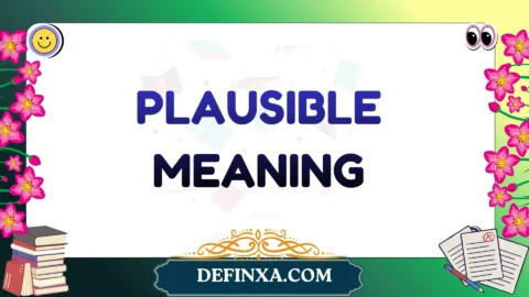 plausible meaning