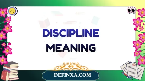 discipline meaning