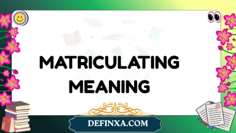 matriculating meaning