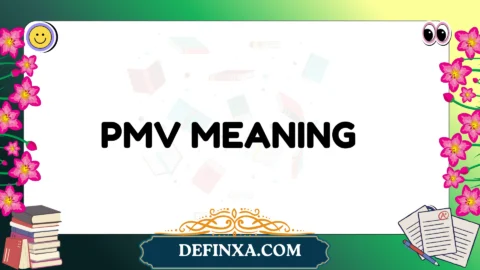 pmv meaning