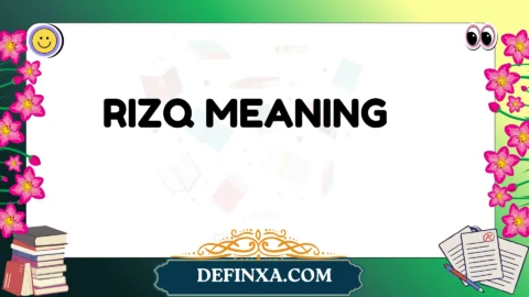 rizq meaning