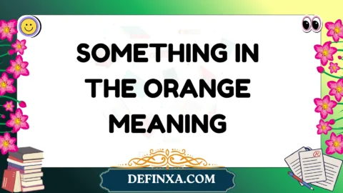 something in the orange meaning