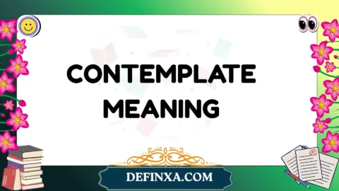 contemplate meaning