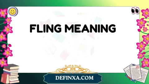 fling meaning