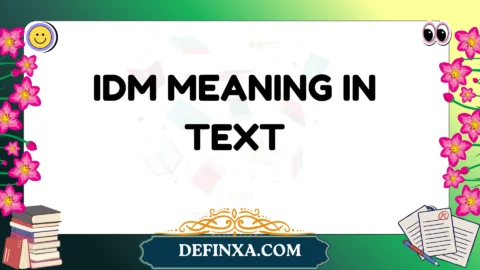 idm meaning in text