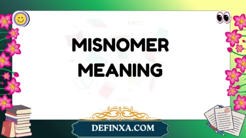 misnomer meaning