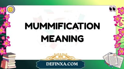mummification meaning