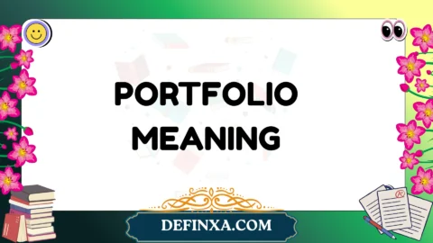portfolio meaning