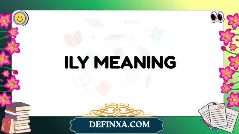 ily meaning