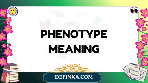 phenotype meaning