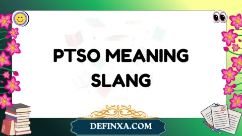 ptso meaning slang