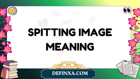 spitting image meaning