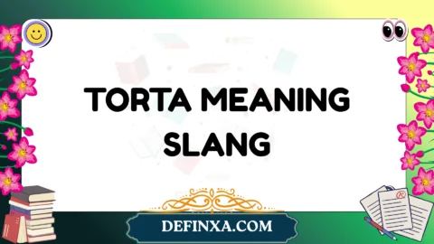 torta meaning slang