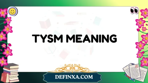 tysm meaning
