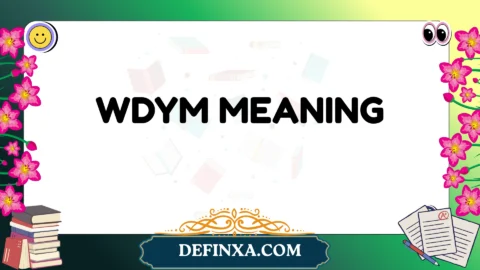 wdym meaning