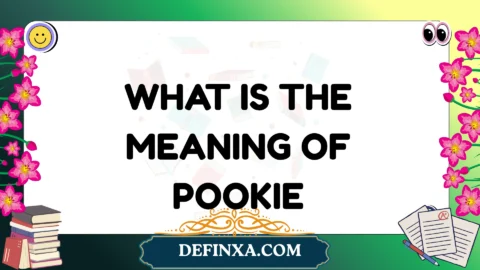 what is the meaning of pookie