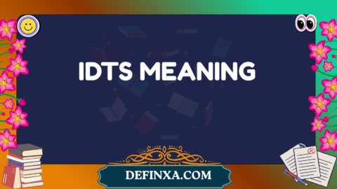idts meaning