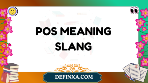 pos meaning slang