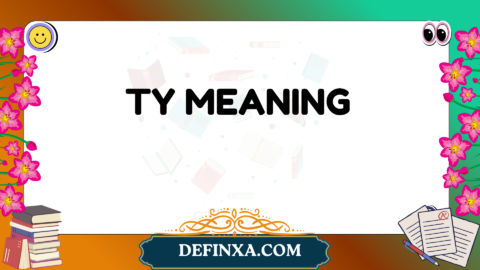 ty meaning